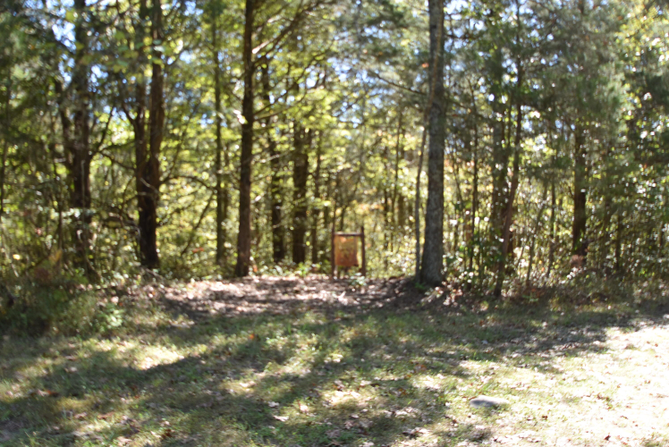 Listing Image 55