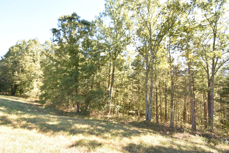 Listing Image 56