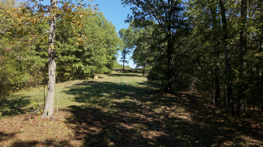 Listing Image 59