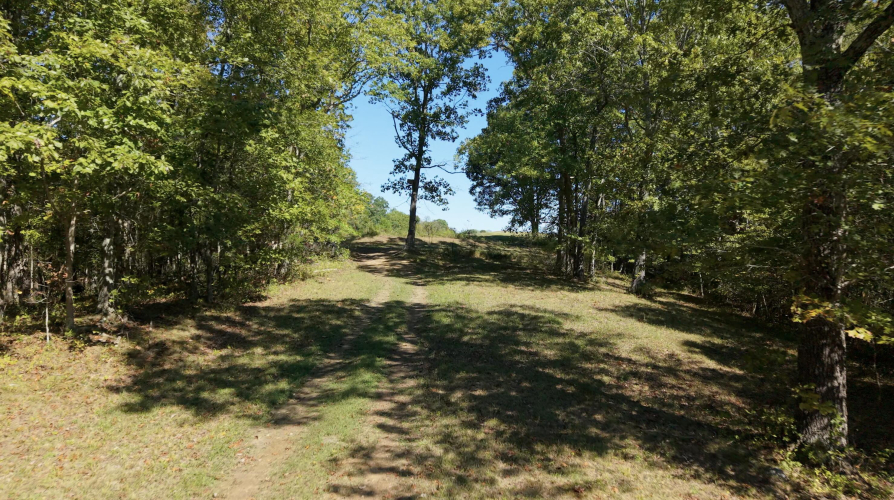 Listing Image 60