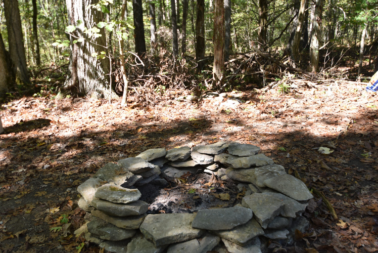 Listing Image 61