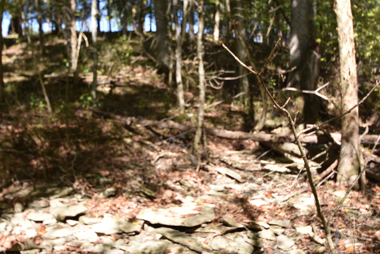 Listing Image 62