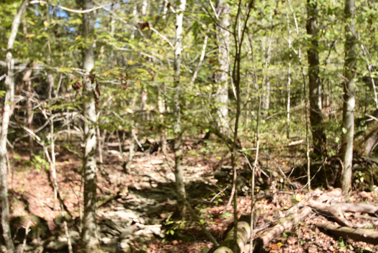 Listing Image 64
