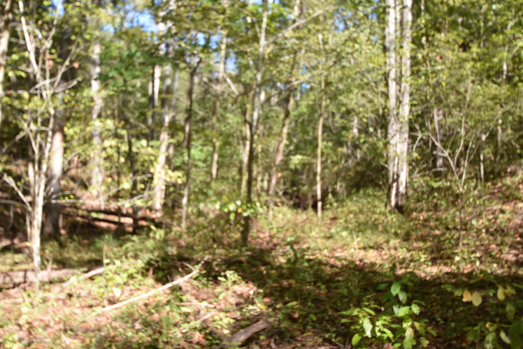 Listing Image 65