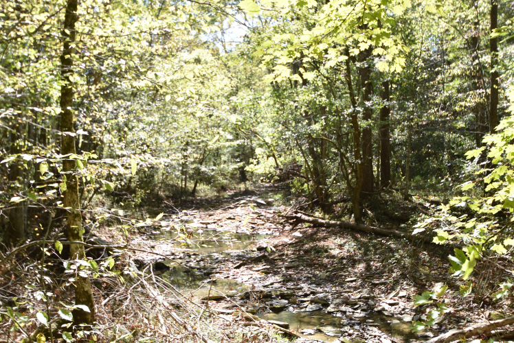 Listing Image 67