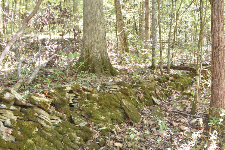 Listing Image 68