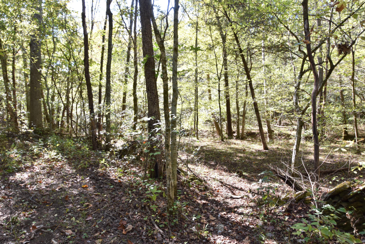 Listing Image 70