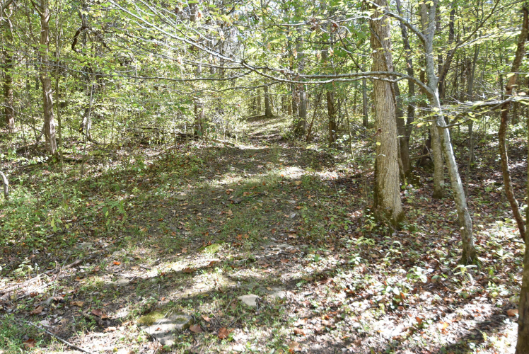 Listing Image 71
