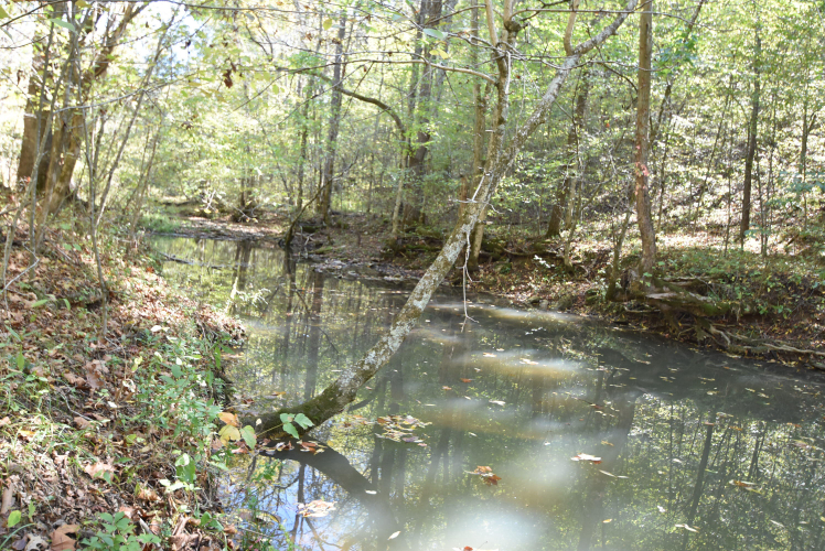 Listing Image 72
