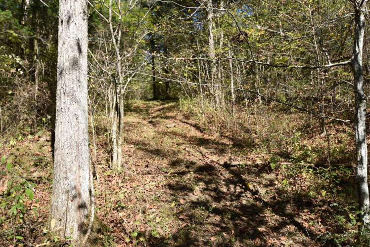 Listing Image 74