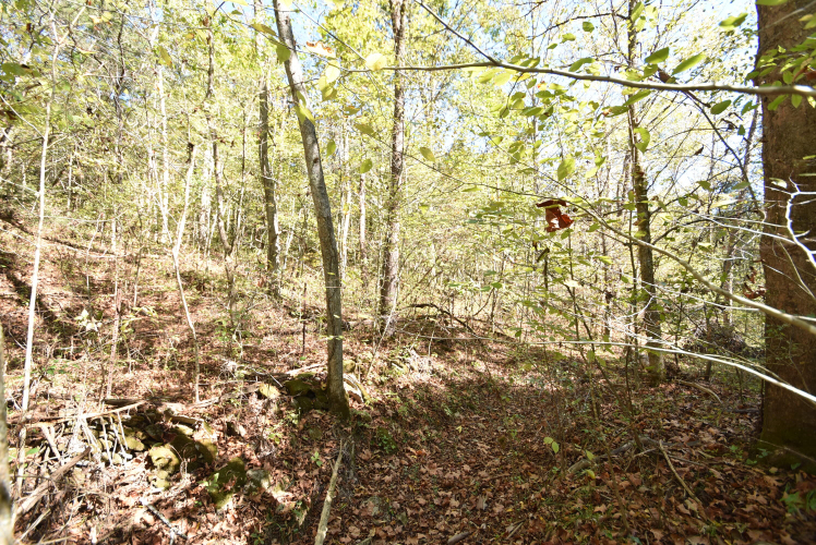 Listing Image 76