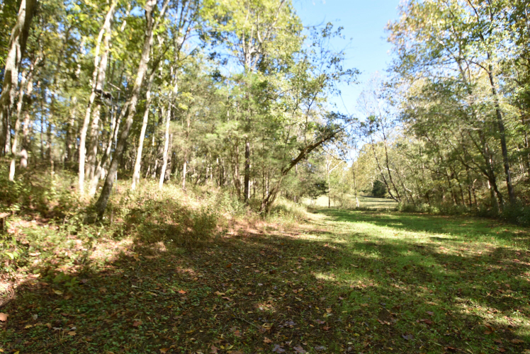 Listing Image 79