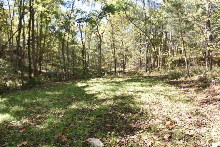 Listing Image 80