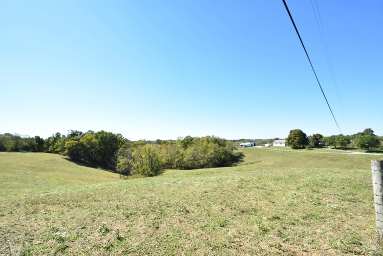 Listing Image 81