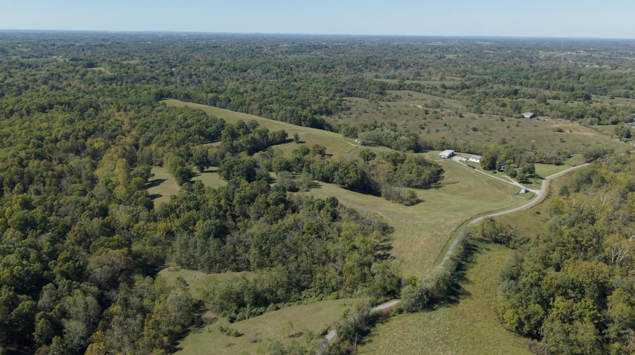 Listing Image 82
