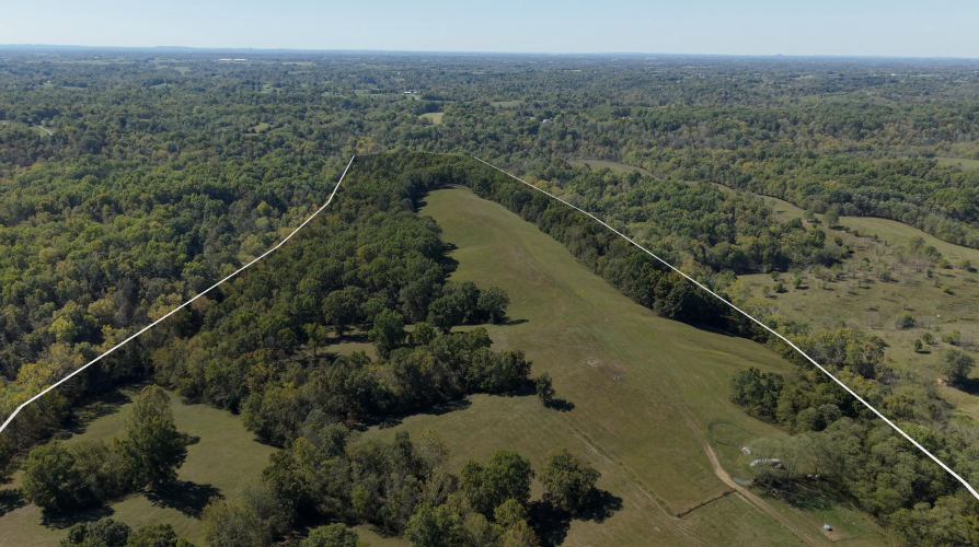Listing Image 83
