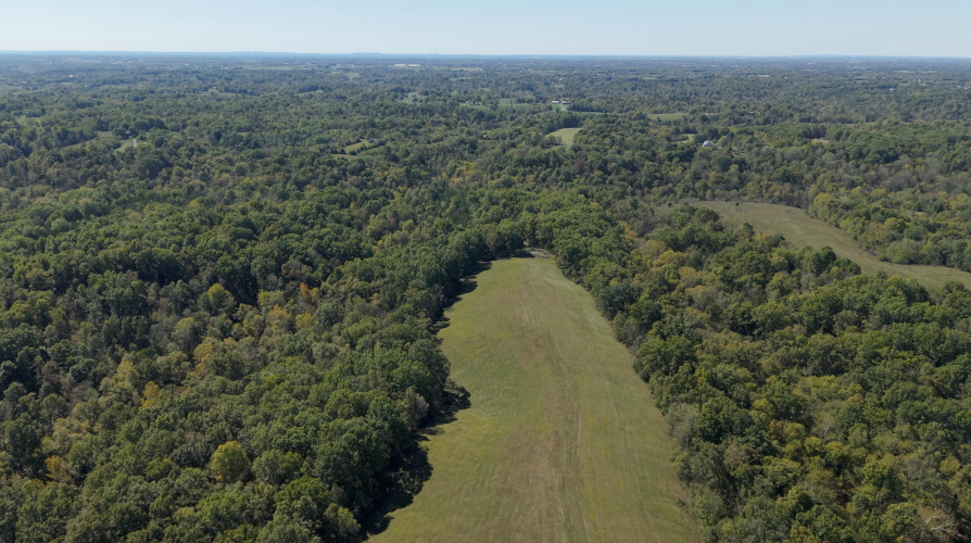 Listing Image 84