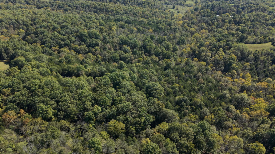 Listing Image 86