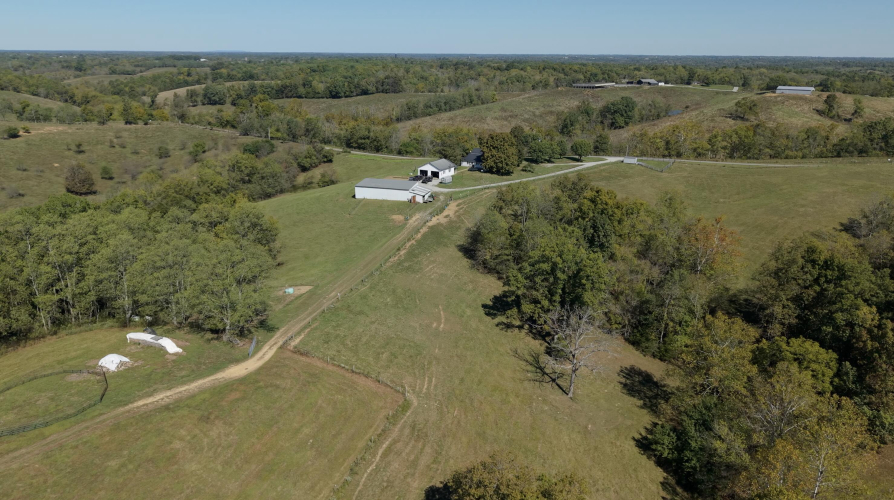 Listing Image 88