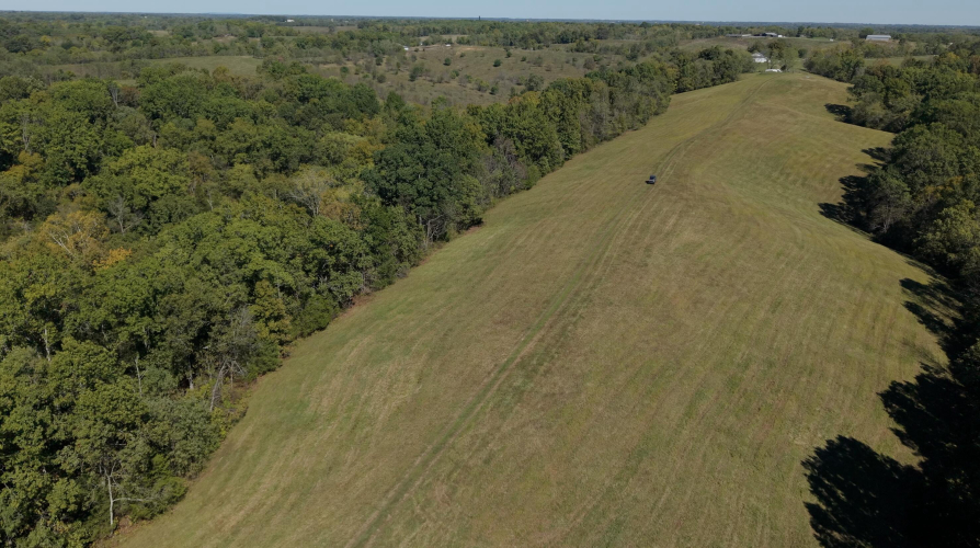 Listing Image 89