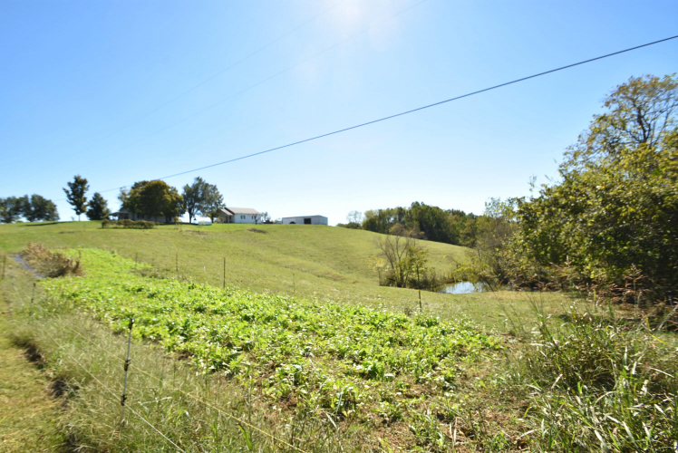 Listing Image 90