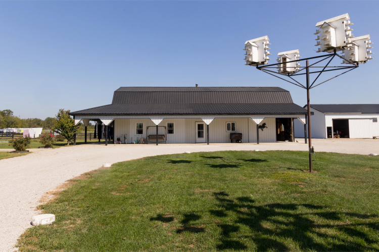 Listing Image 51