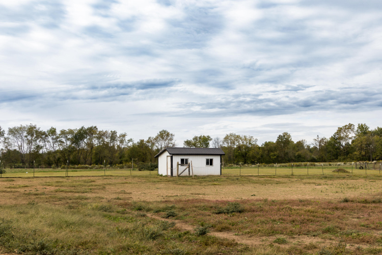 Listing Image 75