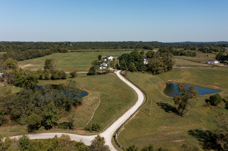 Listing Image 81