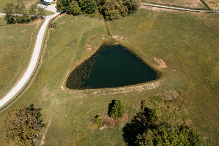 Listing Image 82