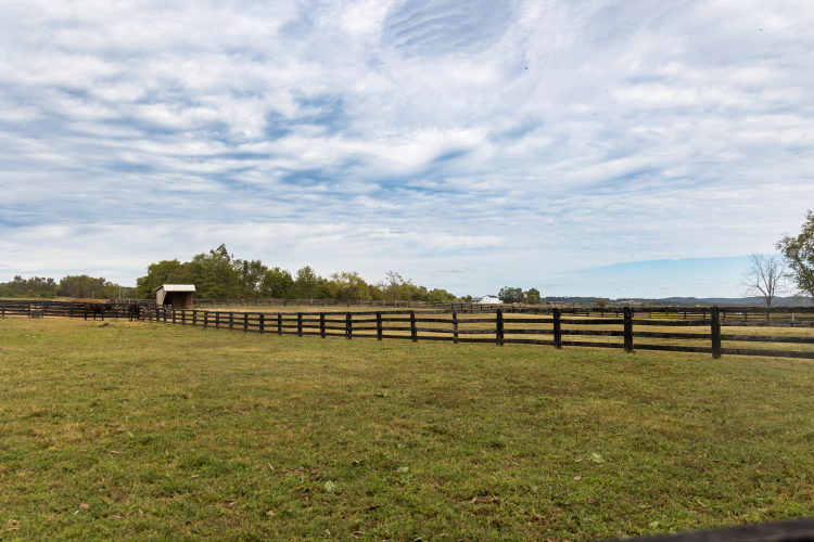 Listing Image 84