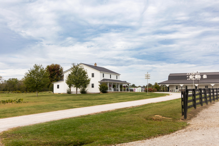 Listing Image 86