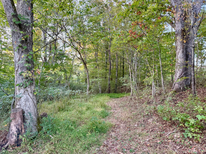 Listing Image 5