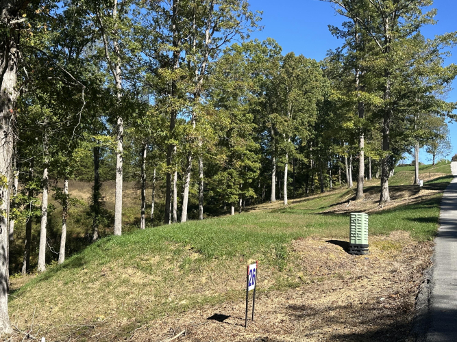 Listing Image 10