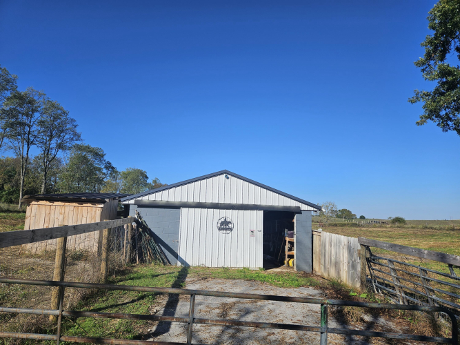 Listing Image 11