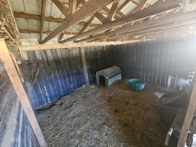 Listing Image 13