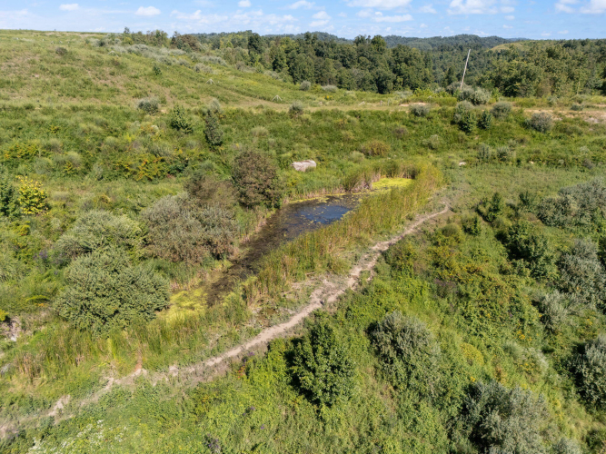 Listing Image 51