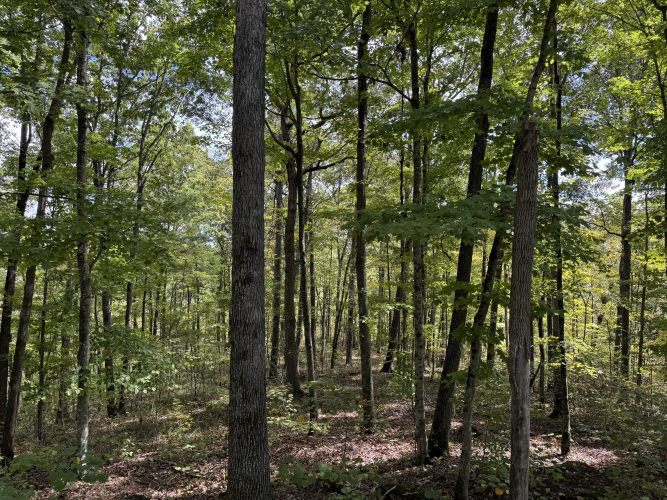 Listing Image 5