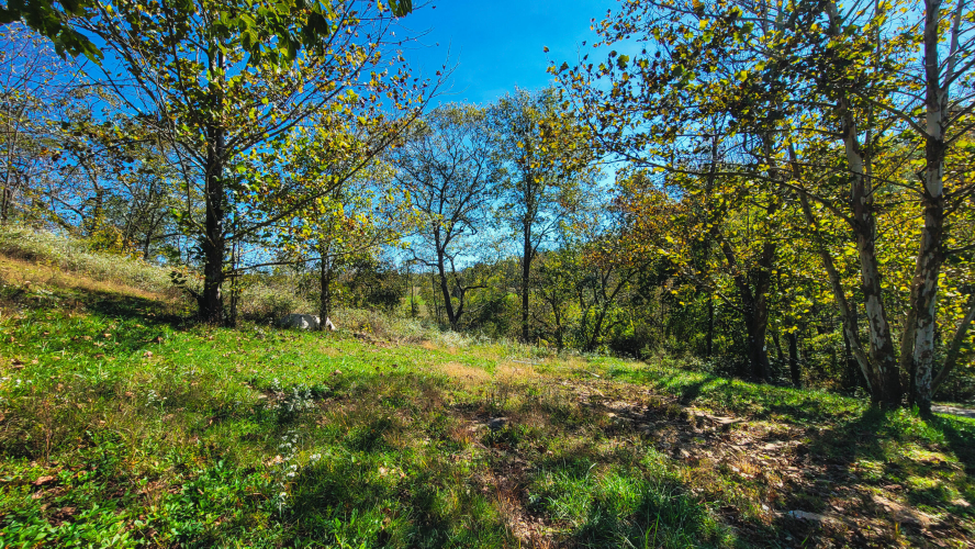 Listing Image 11