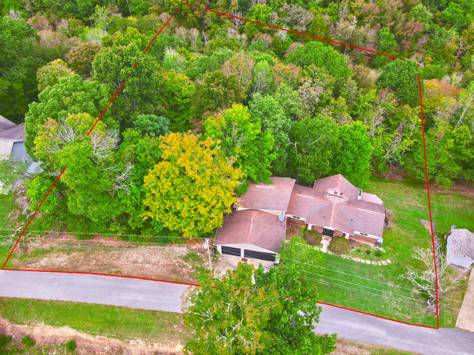 Listing Image 82
