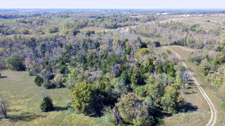 Listing Image 25
