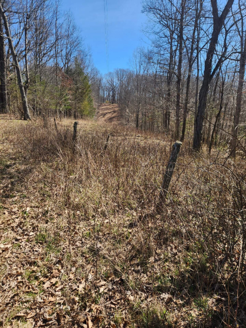 Listing Image 17