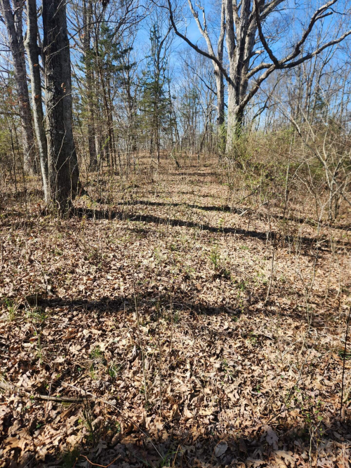 Listing Image 18