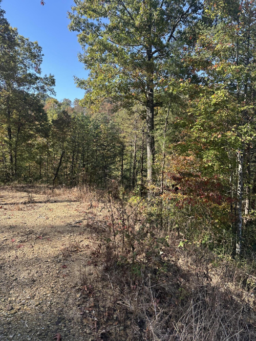 Listing Image 18