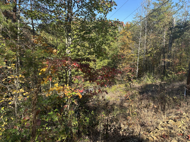 Listing Image 23