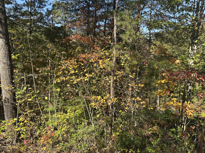 Listing Image 24