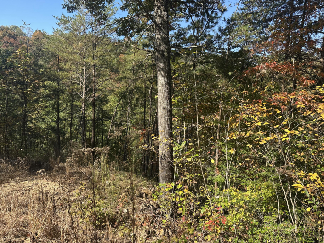 Listing Image 25