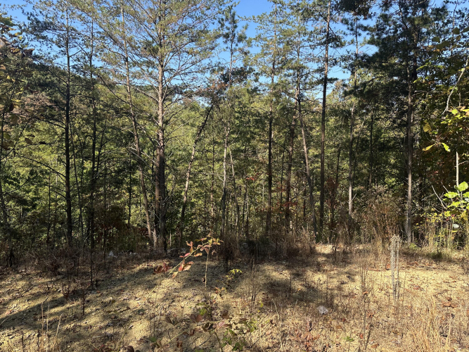 Listing Image 29