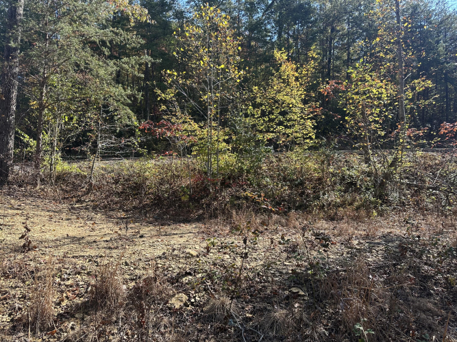 Listing Image 30