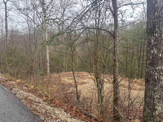 Listing Image 32