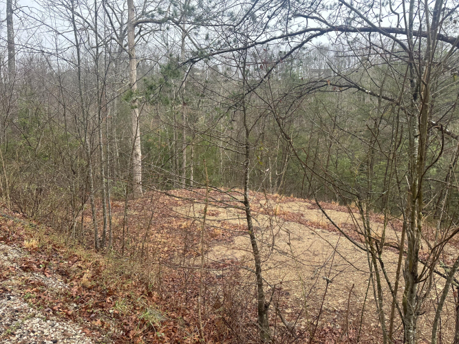 Listing Image 34